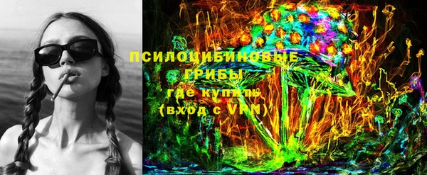 крисы Зеленокумск