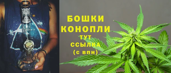 крисы Зеленокумск