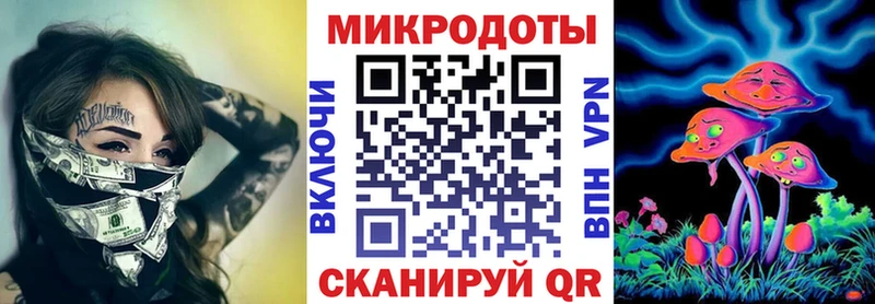 Псилоцибиновые грибы Psilocybe  Купить где  Ставрополь 