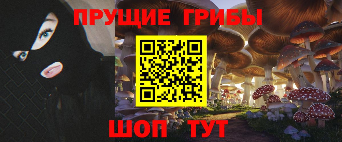 Галлюциногенные грибы ЛСД Ставрополь