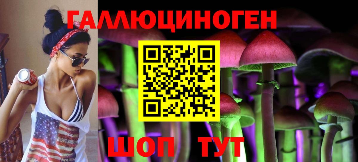 Псилоцибиновые грибы мухоморы  сколько стоит  Ставрополь  Вход с VPN 