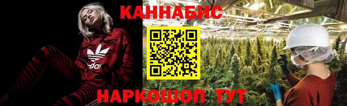 Бошки марихуана THC 21%  Ставрополь  Бошки Шишки White Widow 